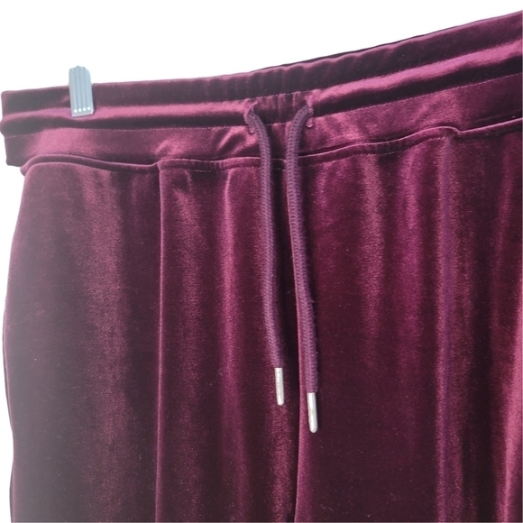 BLUENOTE Matching Purple Velvet Joggers And Hoodie Women Size L - Picture 9 of 16